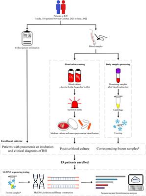 Time-series prediction and detection of potential pathogens in bloodstream infection using mcfDNA sequencing